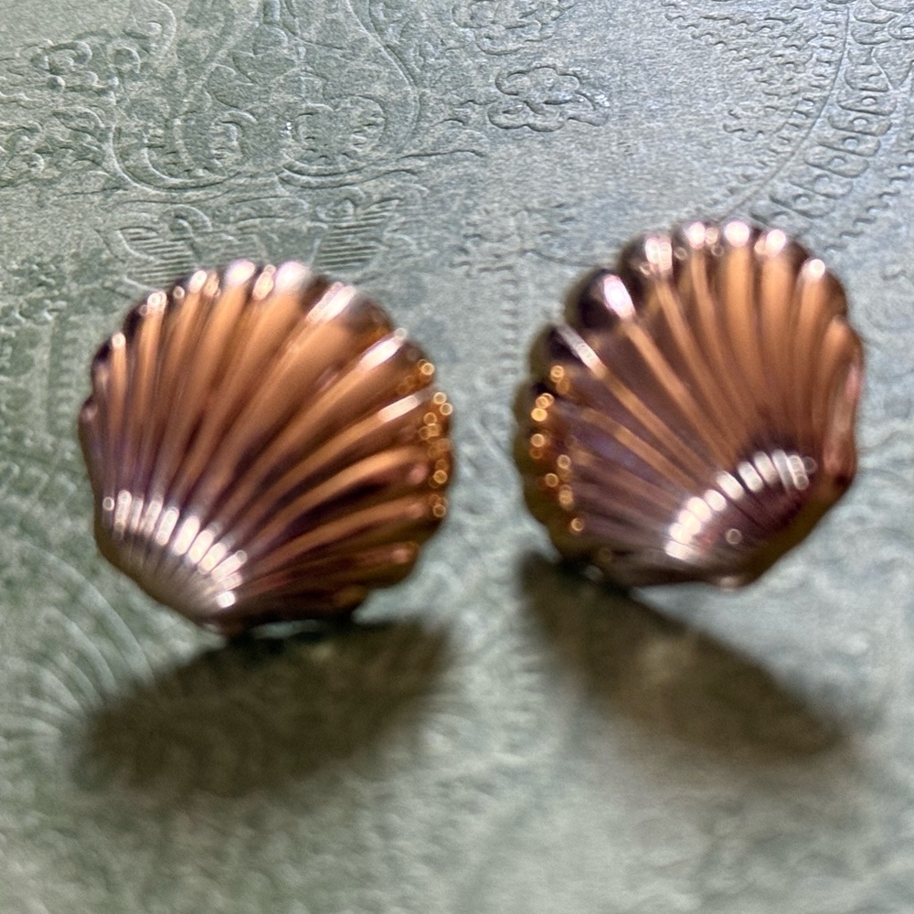 Elegant Shell Earrings